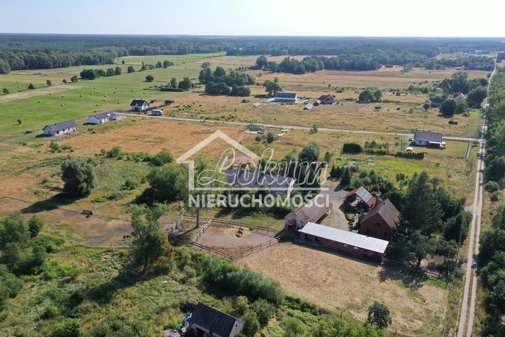 Działka budowlana 3000 m², Białuń - zdjęcie 5