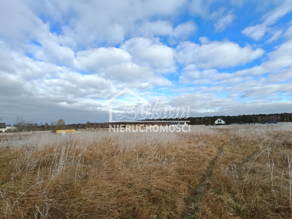 Działka budowlana 3000 m², Białuń - zdjęcie 4