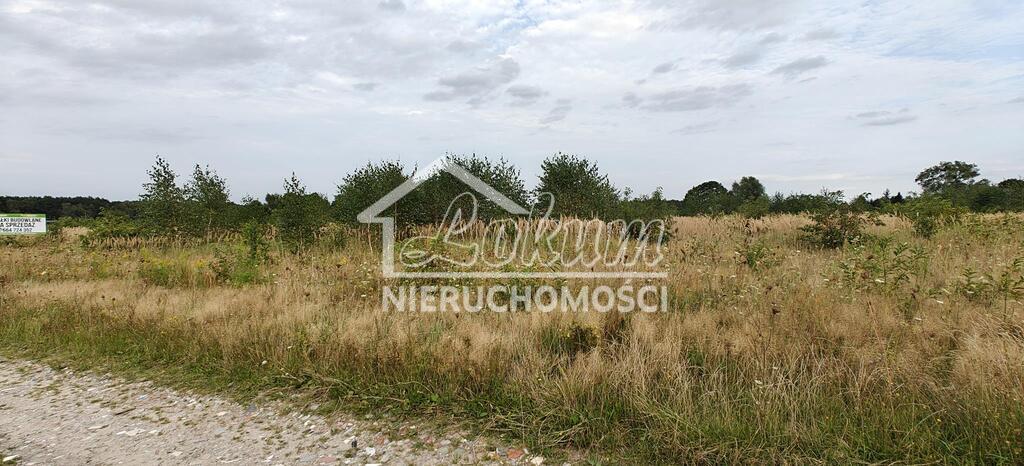 Działka budowlana 3000 m², Białuń - zdjęcie 9