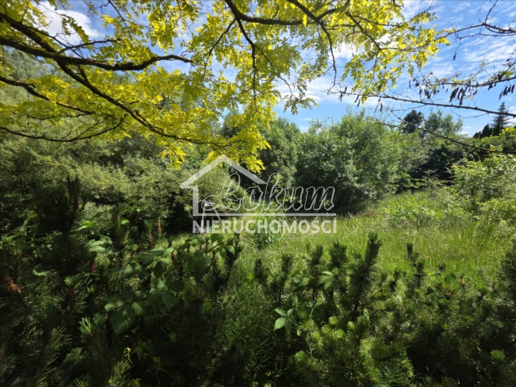 Mieszkanie 82 m², Szczecin - zdjęcie 7