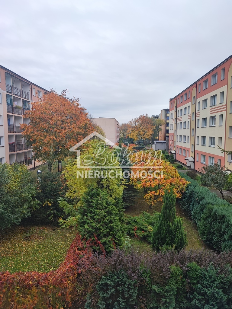 Mieszkanie 35,4&nbsp;m², Stargard, os. gen. Józefa Hallera - zdjęcie 19