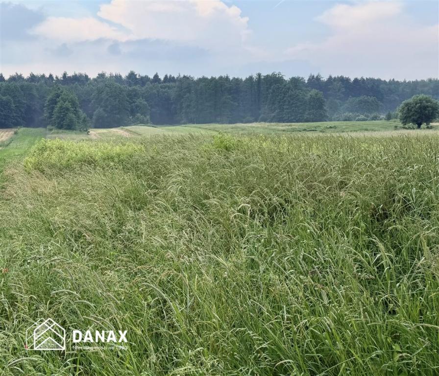 Działka budowlana 1747 m², Rączna - zdjęcie 6