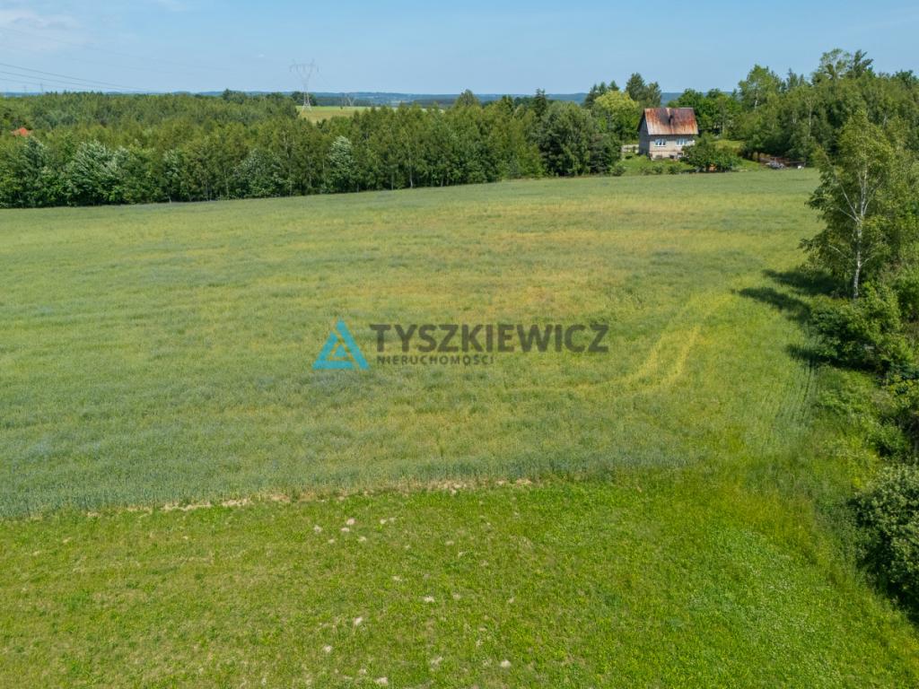 Działka w Łapinie Kartuskim, blisko jeziora! - zdjęcie 14