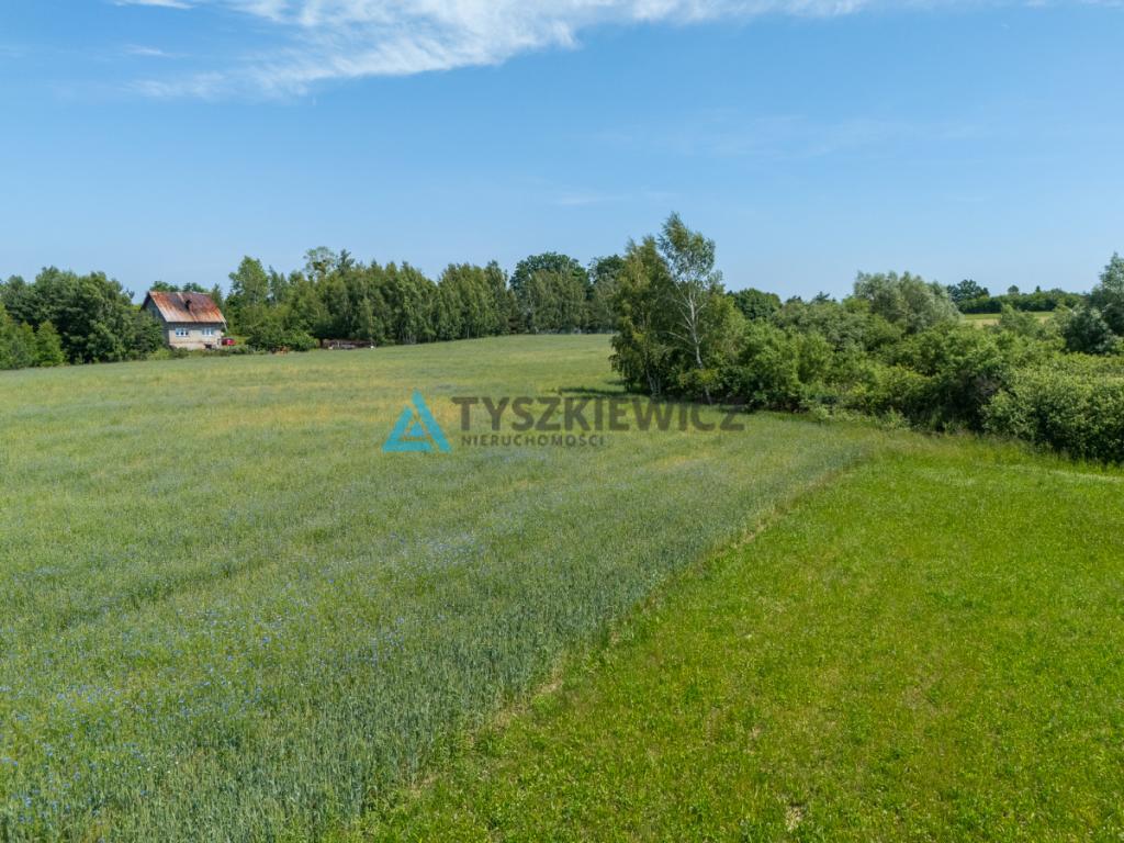 Działka w Łapinie Kartuskim, blisko jeziora! - zdjęcie 15