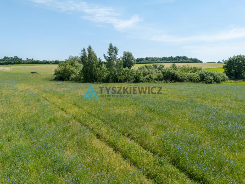 Działka w Łapinie Kartuskim, blisko jeziora! - zdjęcie 10