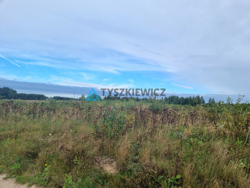 Działka w okolicy Egiertowa - zdjęcie 16