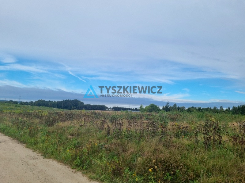 Działka w okolicy Egiertowa - zdjęcie 18