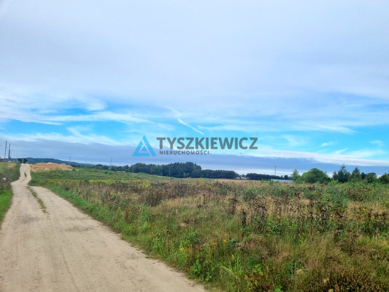 Działka w okolicy Egiertowa - zdjęcie 14