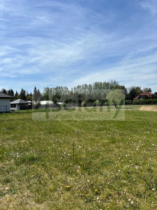 Działka budowlana 1000 m², Żółwin - zdjęcie 2