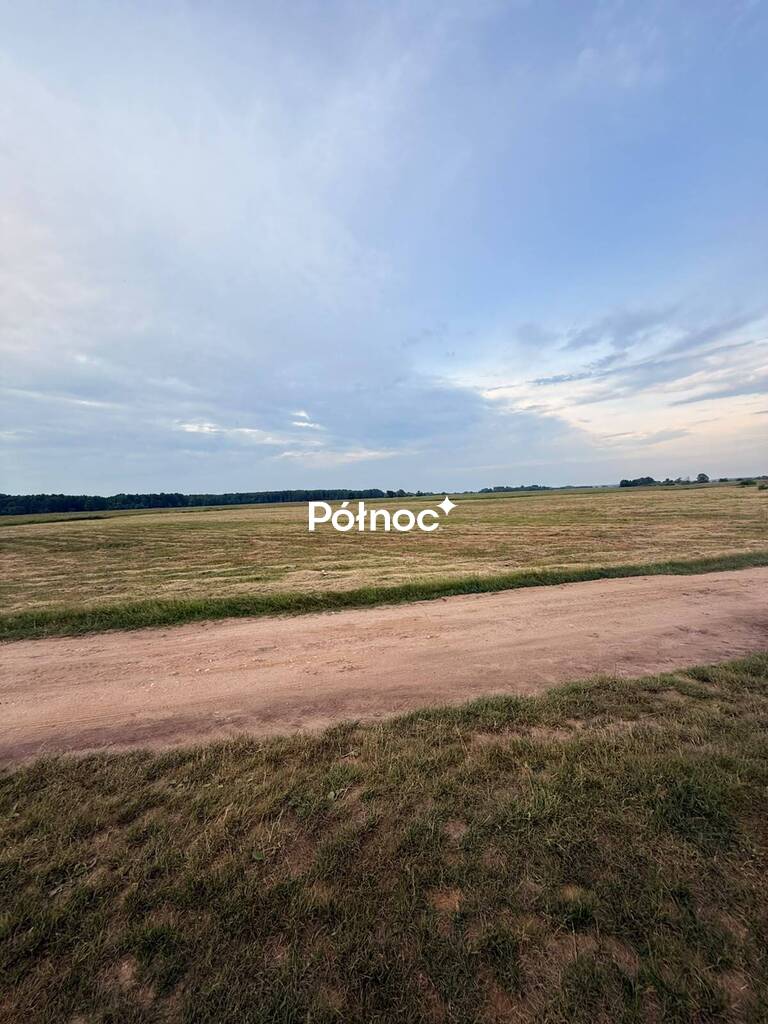 Działka rolna 8000 m², Krzewo - zdjęcie 6