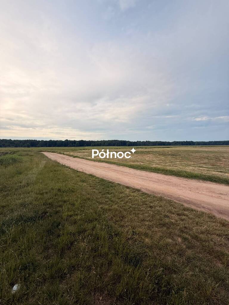 Działka rolna 8000 m², Krzewo - zdjęcie 15