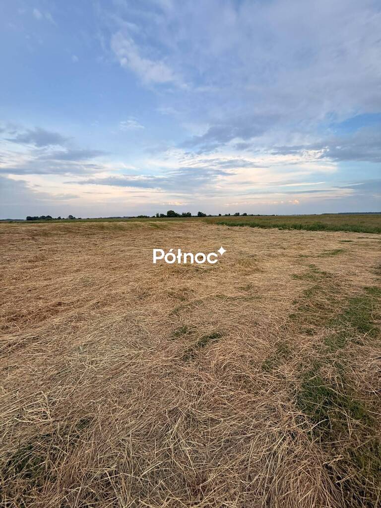 Działka rolna 8000 m², Krzewo - zdjęcie 4