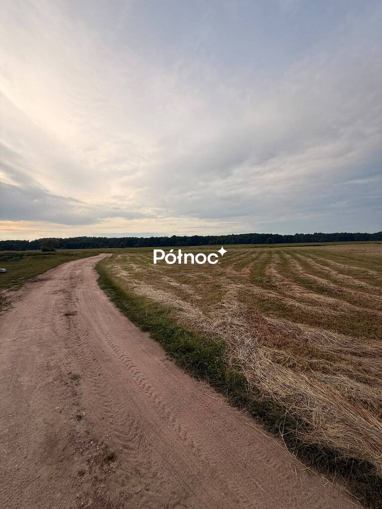 Działka rolna 8000 m², Krzewo - zdjęcie 8