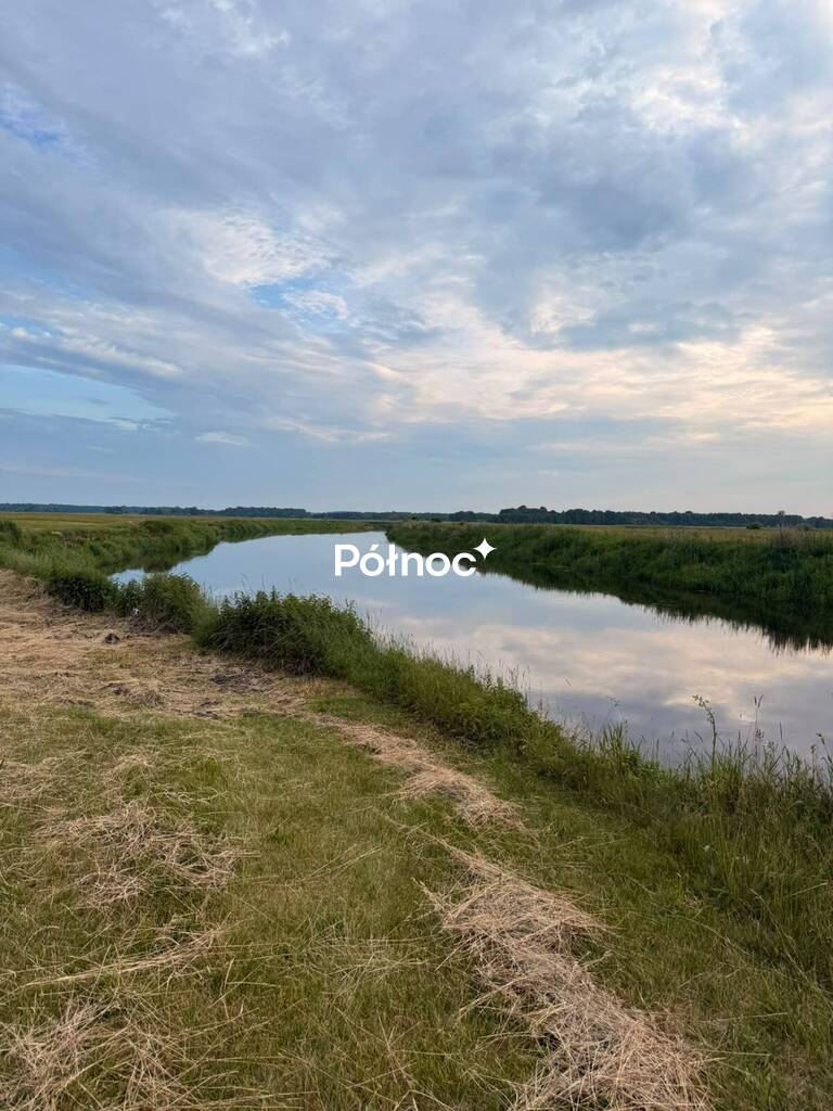 Działka rolna 8000 m², Krzewo - zdjęcie 7