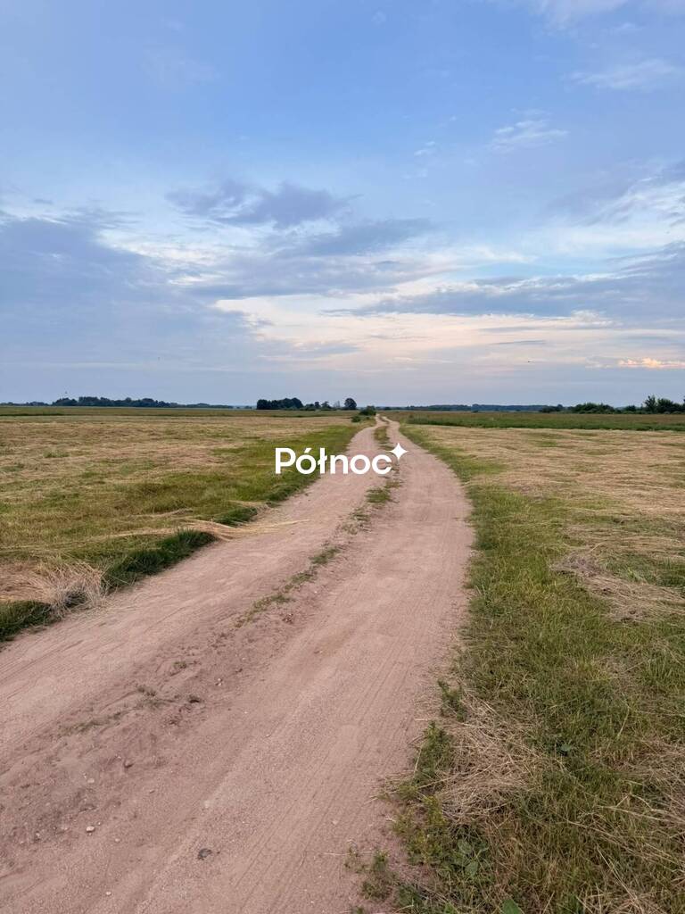 Działka rolna 8000 m², Krzewo - zdjęcie 10