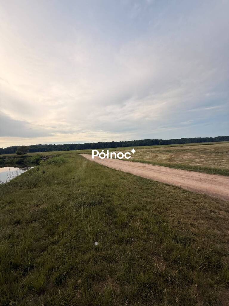 Działka rolna 8000 m², Krzewo - zdjęcie 13