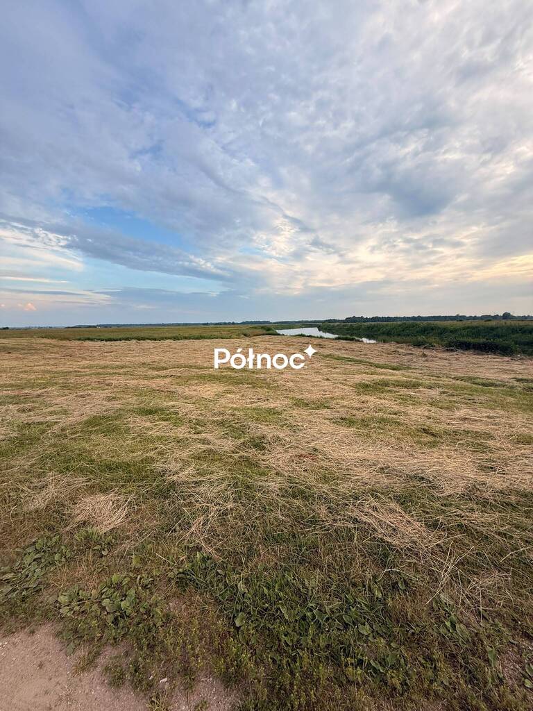 Działka rolna 8000 m², Krzewo - zdjęcie 12