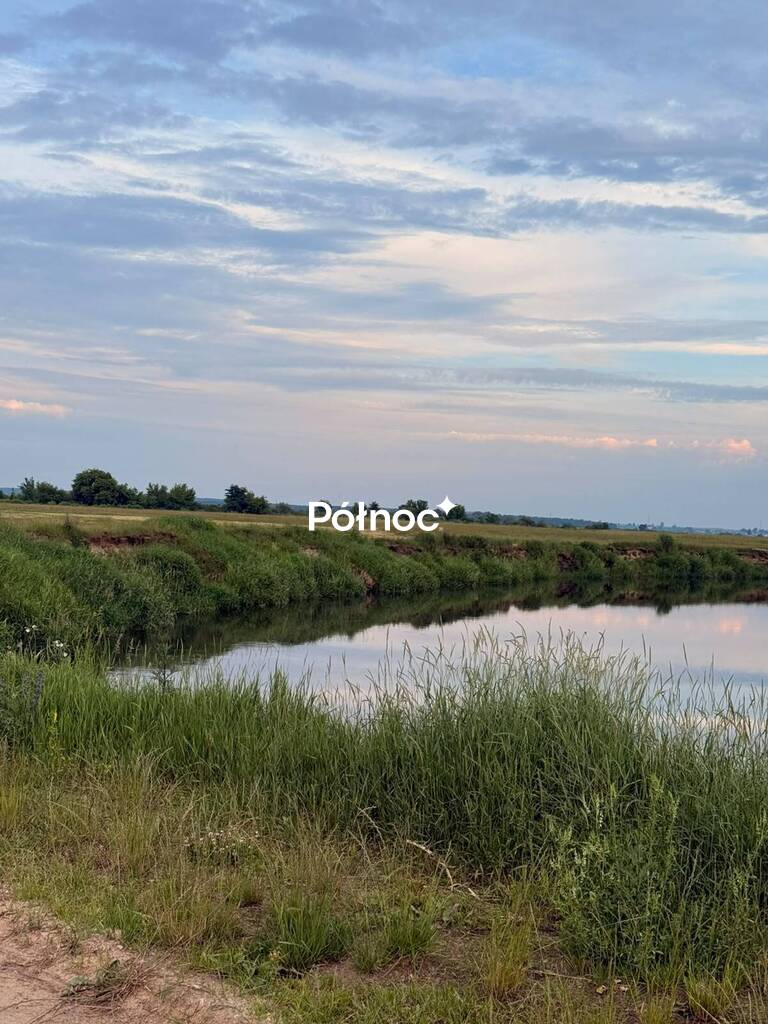 Działka rolna 8000 m², Krzewo - zdjęcie 5