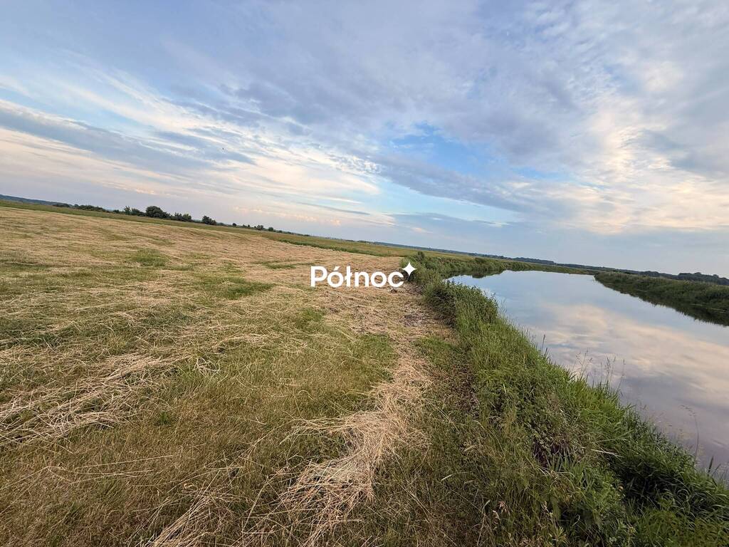 Działka rolna 8000 m², Krzewo - zdjęcie 16