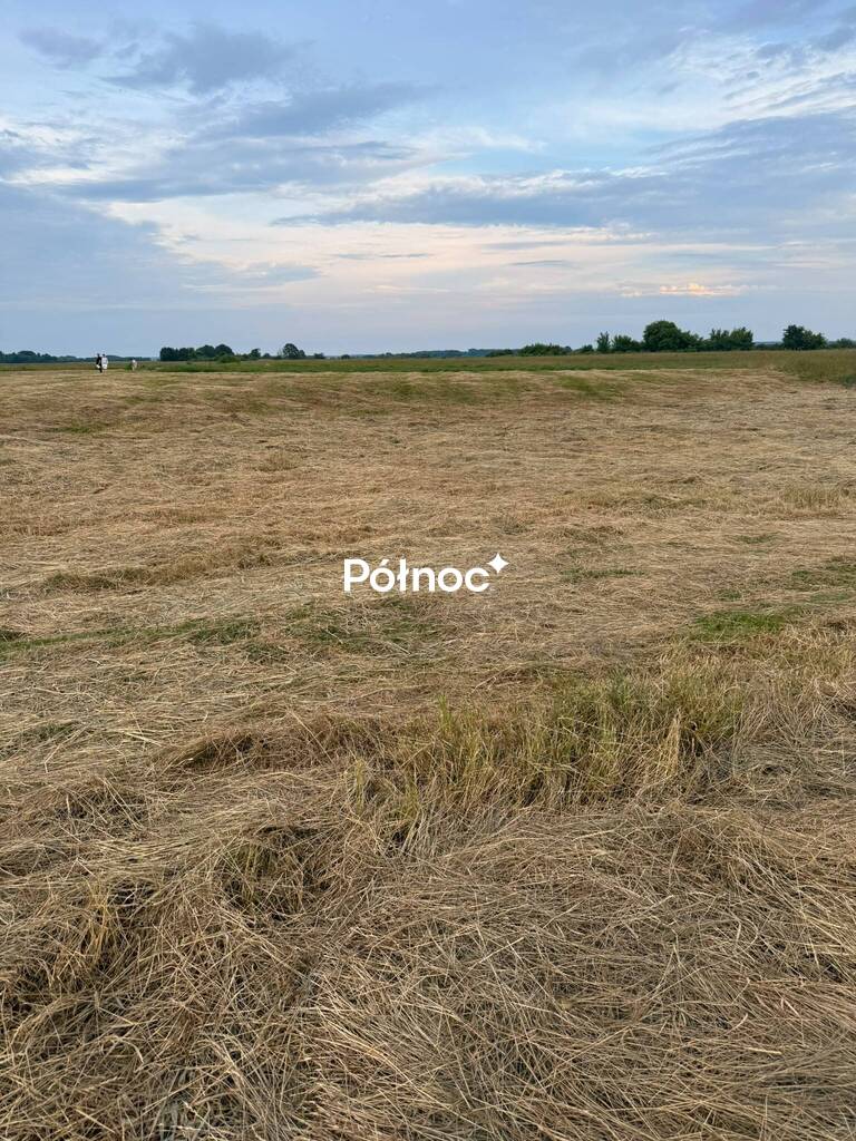 Działka rolna 8000 m², Krzewo - zdjęcie 9