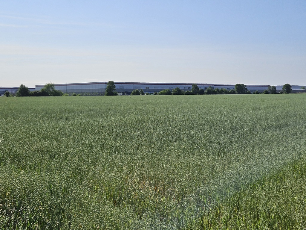 Działka inwestycyjna 11,71&nbsp;ha, Szamoty - zdjęcie 1