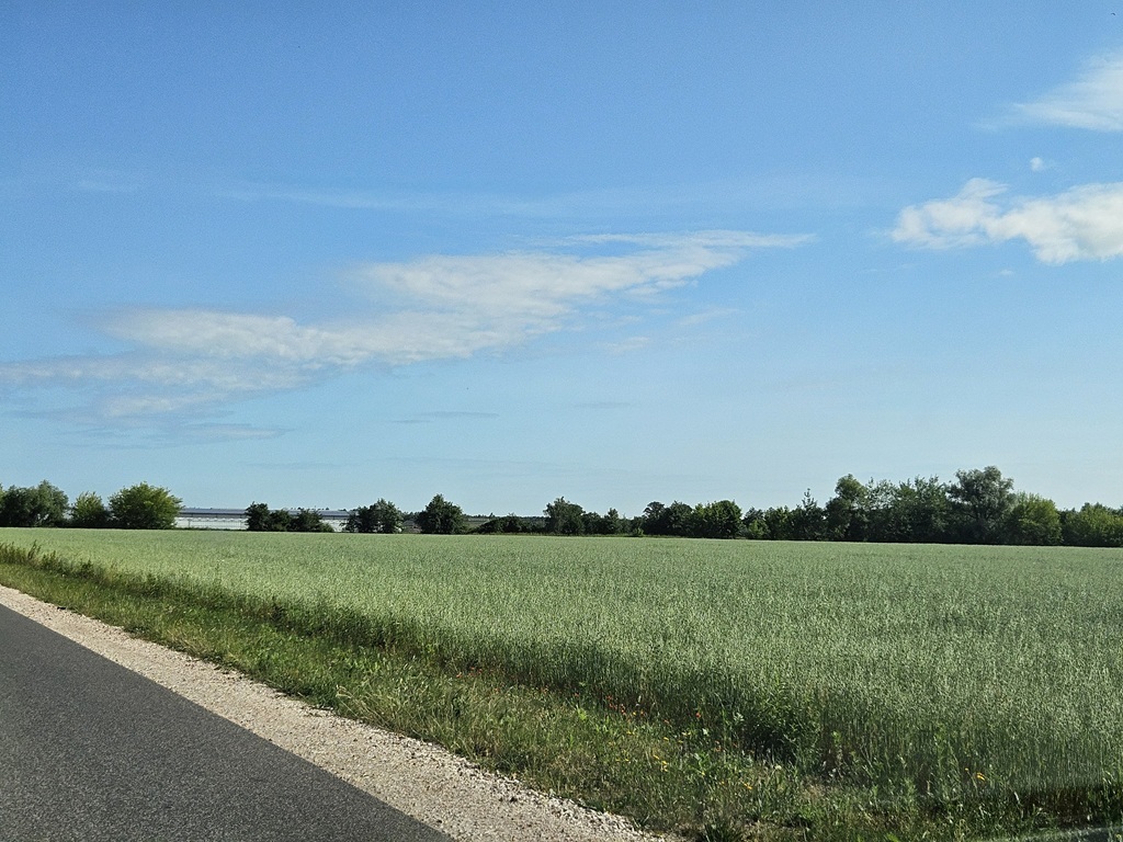 Działka inwestycyjna 11,71&nbsp;ha, Szamoty - zdjęcie 3