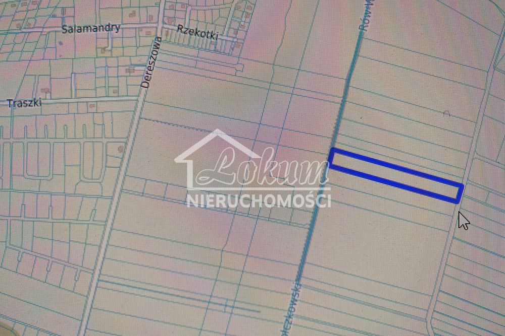 Działka rolna 2,17&nbsp;ha, Wołczkowo - zdjęcie 3