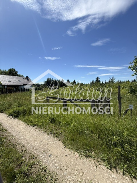 Wynajmę działkę 2238&nbsp;m², Binowo - zdjęcie 3