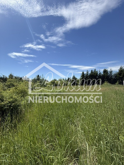 Wynajmę działkę 2238&nbsp;m², Binowo - zdjęcie 2