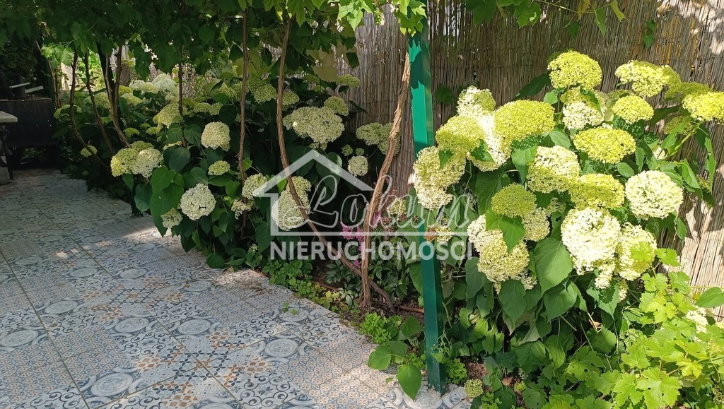 Działka rekreacyjna 529 m², Szczecin, Turzyn, Tenisowa - zdjęcie 5