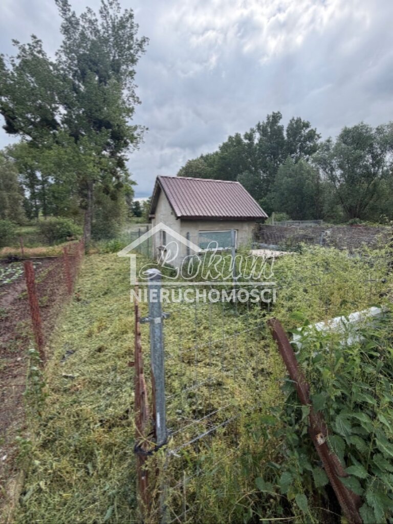 Dom 2803&nbsp;m², Brzezin - zdjęcie 16