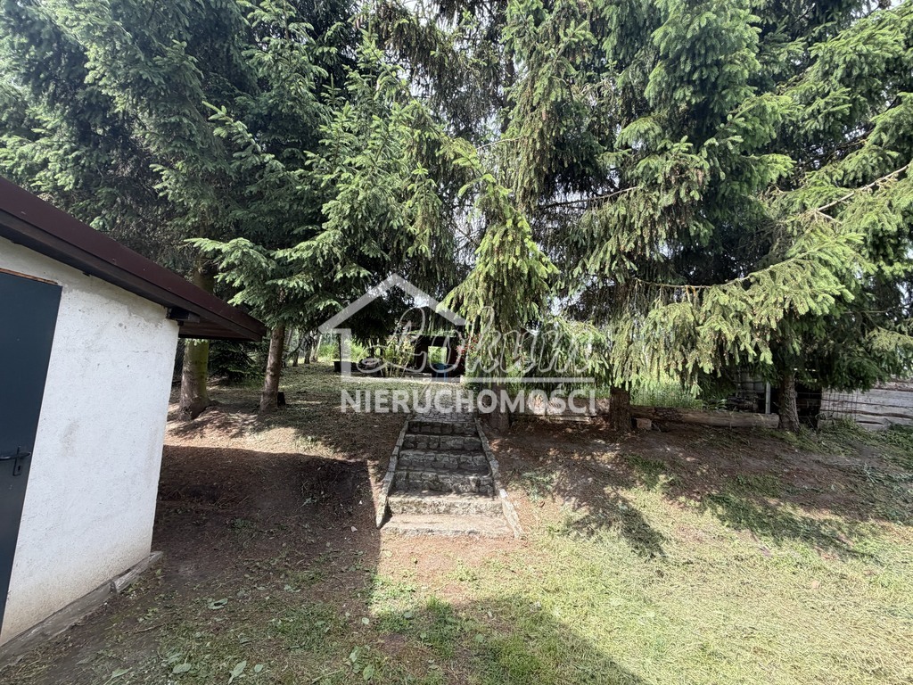 Dom 2803&nbsp;m², Brzezin - zdjęcie 18