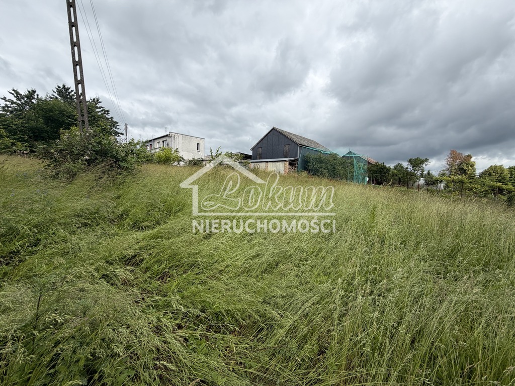 Dom 2803&nbsp;m², Brzezin - zdjęcie 15