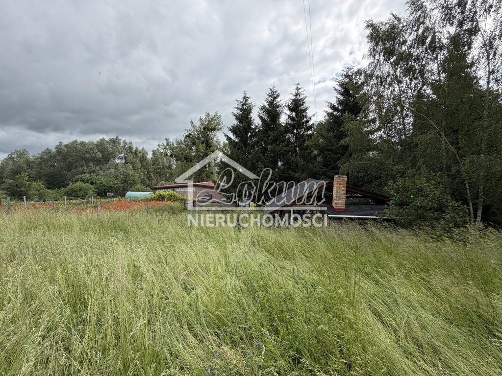 Dom 2803&nbsp;m², Brzezin - zdjęcie 14