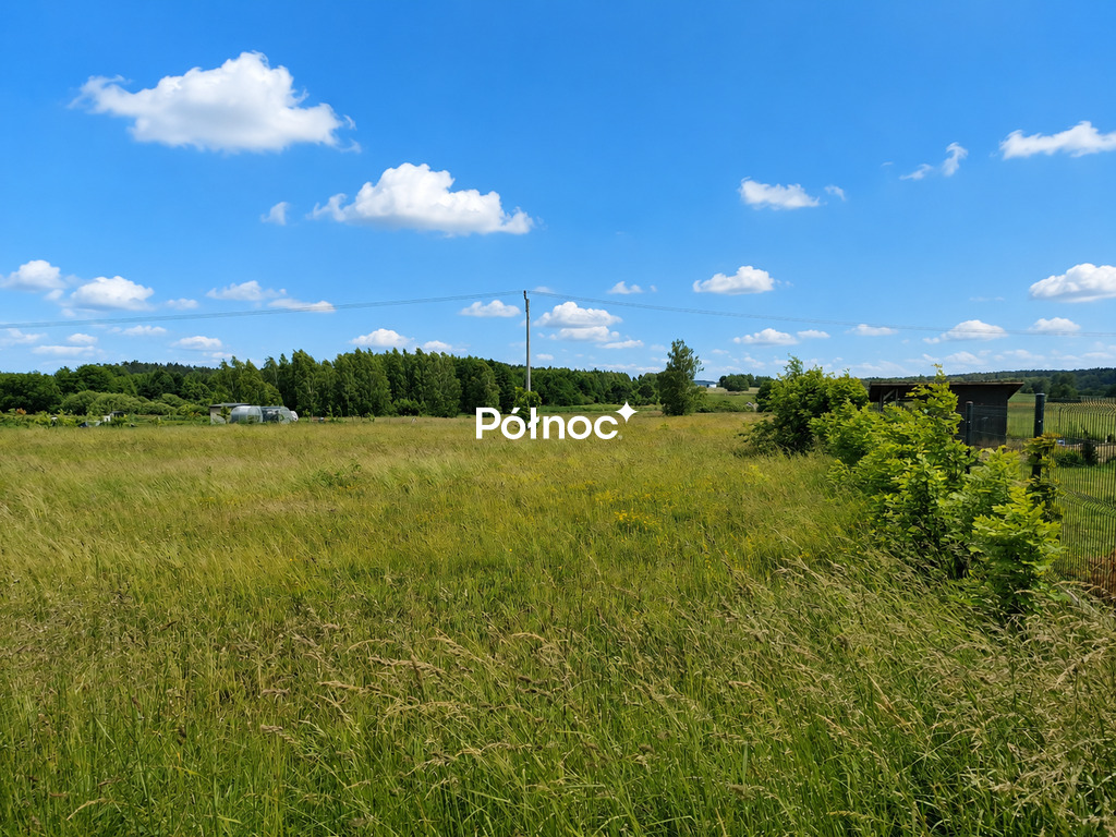 Działka rolna 3025 m², Klimki - zdjęcie 2