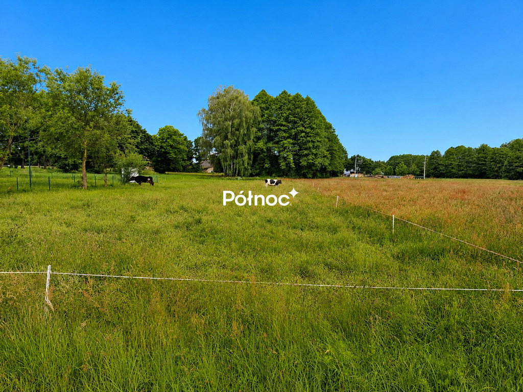 Działka budowlana 2000 m², Łapczyn - zdjęcie 3