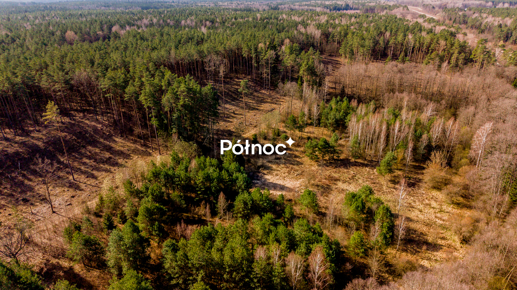 Działka budowlana 1347 m², Klepacze, Świerkowa - zdjęcie 7