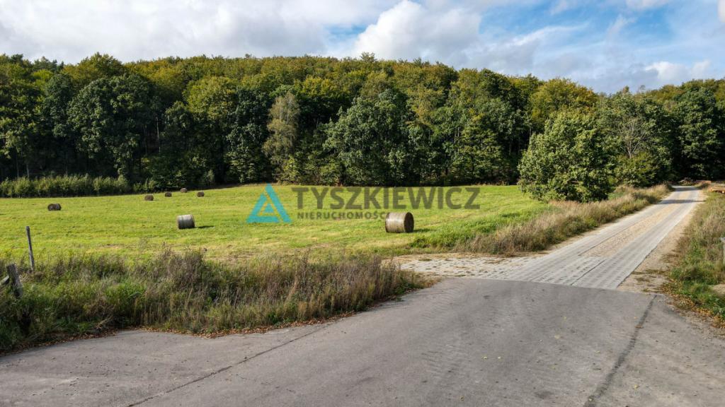Kompleks 6 działek przy lesie Trzepowo - zdjęcie 5