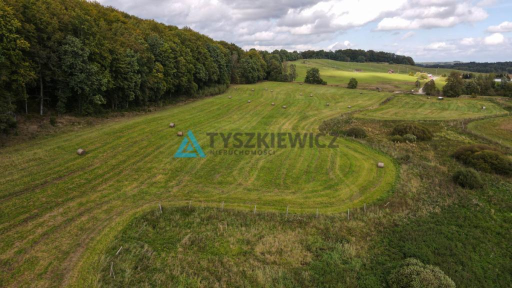 Kompleks 6 działek przy lesie Trzepowo - zdjęcie 6