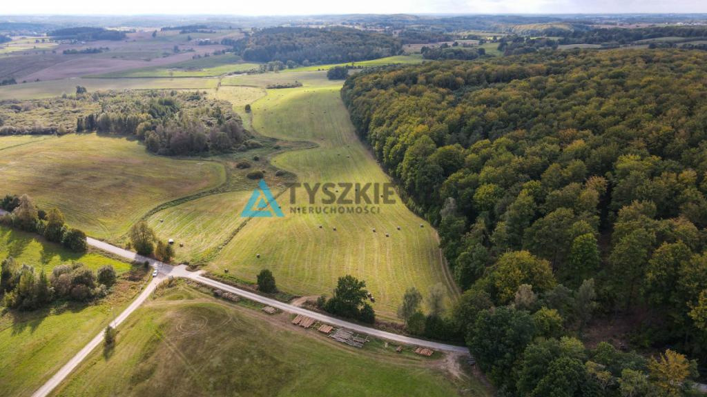Kompleks 6 działek przy lesie Trzepowo - zdjęcie 9
