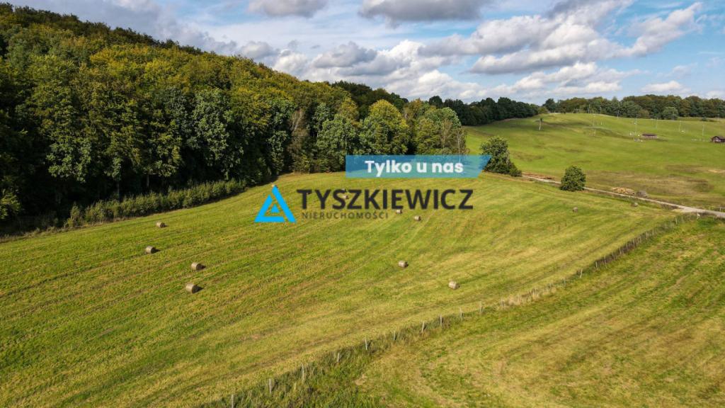 Kompleks 6 działek przy lesie Trzepowo - zdjęcie 1