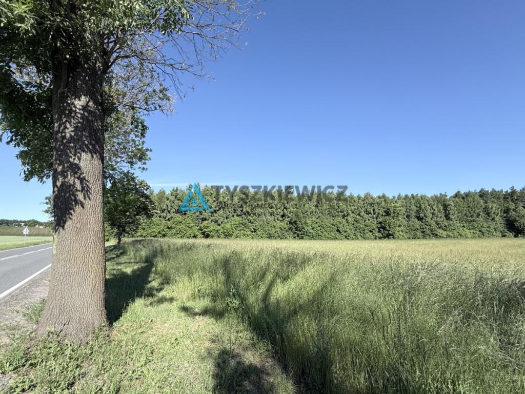 Działki budowlane Warcz - zdjęcie 18