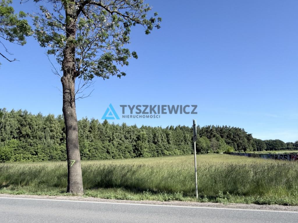 Działki budowlane Warcz - zdjęcie 20