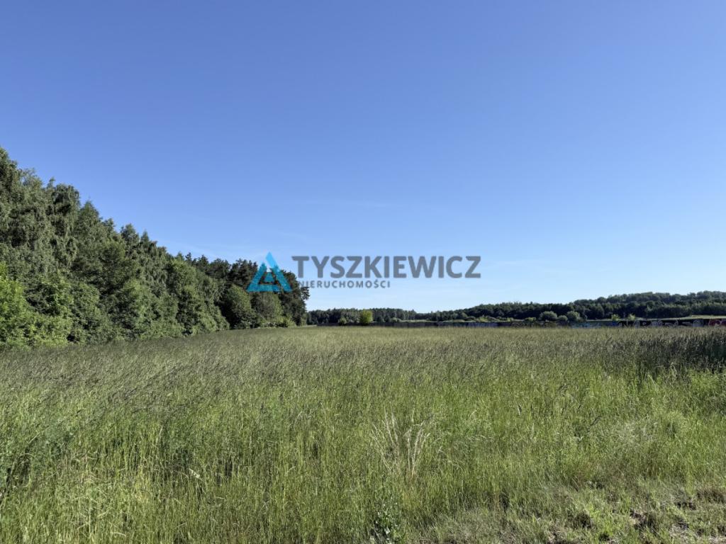 Działki budowlane Warcz - zdjęcie 14