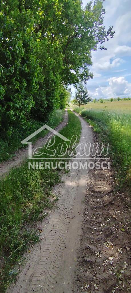 Działka rolna 9609&nbsp;m², Żarnowo - zdjęcie 10