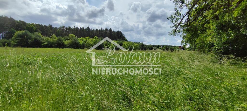 Działka rolna 9609&nbsp;m², Żarnowo - zdjęcie 3