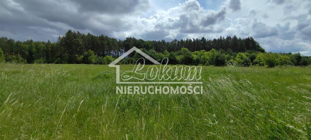 Działka rolna 9609&nbsp;m², Żarnowo - zdjęcie 8