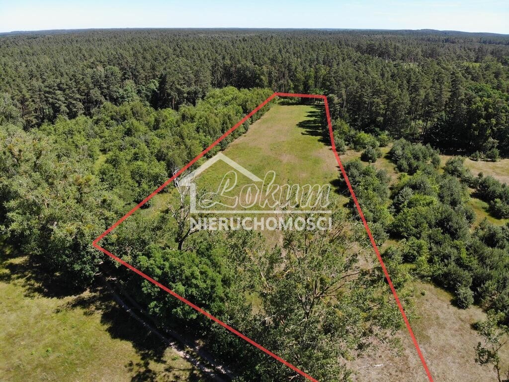 Działka rolna 9609 m², Żarnowo - zdjęcie 1