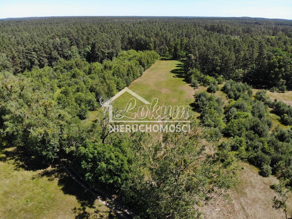 Działka rolna 9609&nbsp;m², Żarnowo - zdjęcie 1