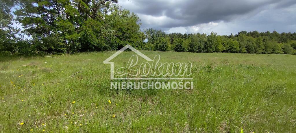 Działka rolna 9609&nbsp;m², Żarnowo - zdjęcie 5